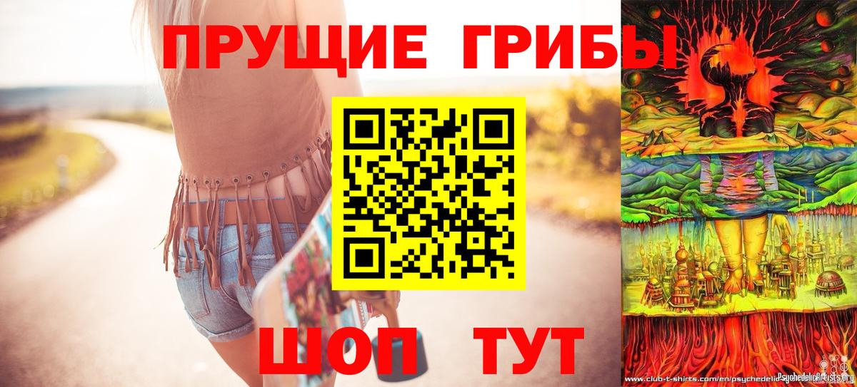 дарнет шоп  Псилоцибиновые грибы Cubensis  Вход с VPN  Моздок 